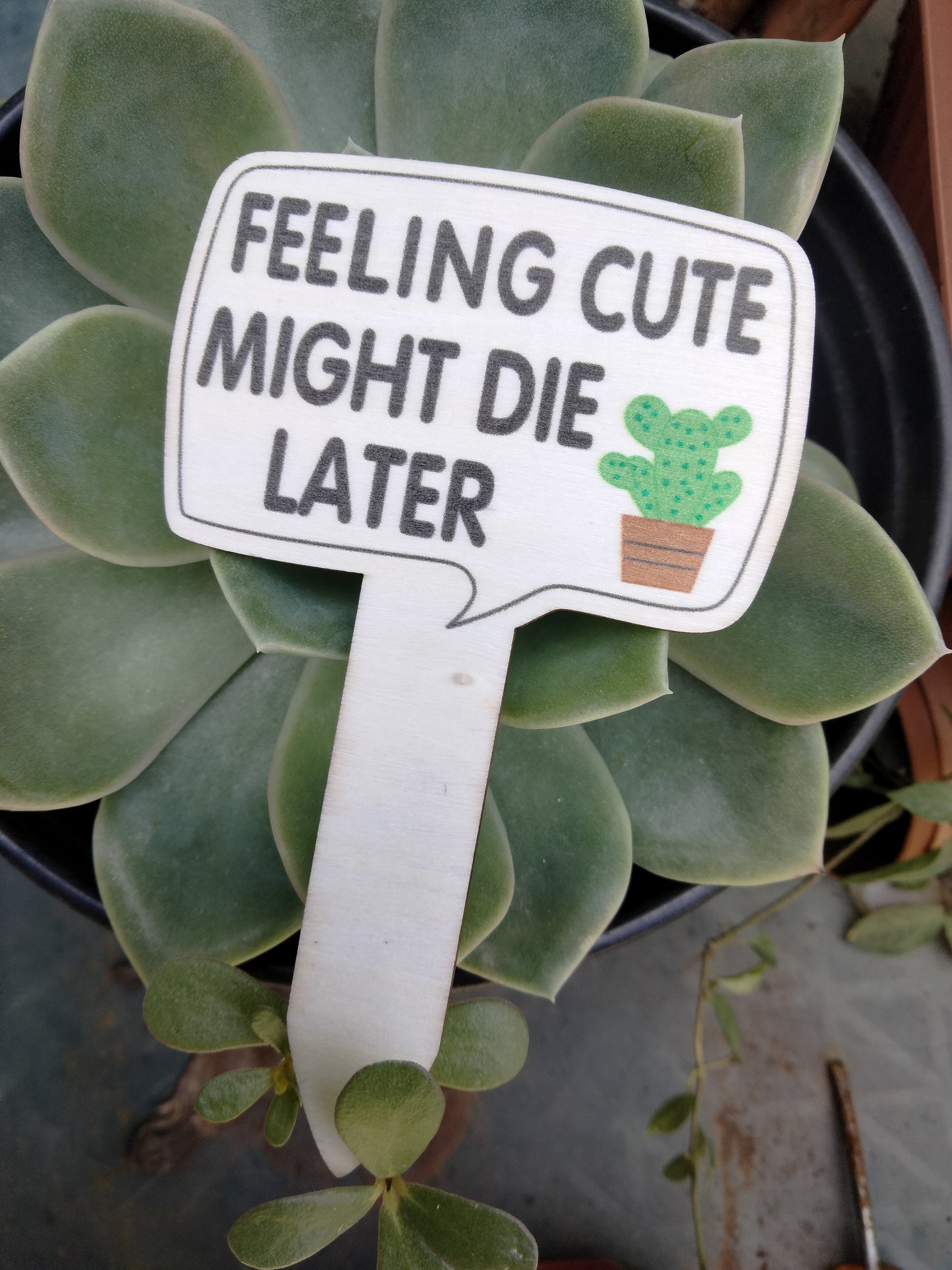 Plant Sign 1