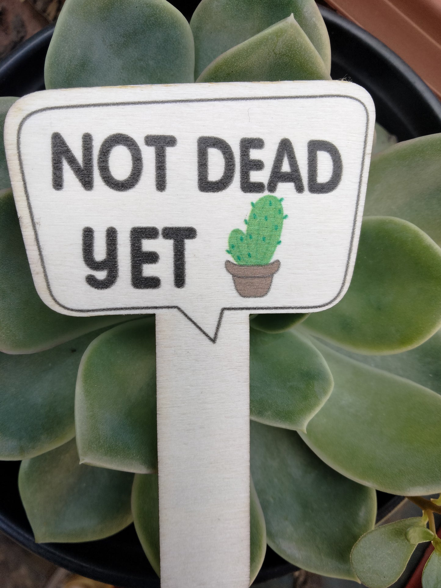 Plant Sign 2