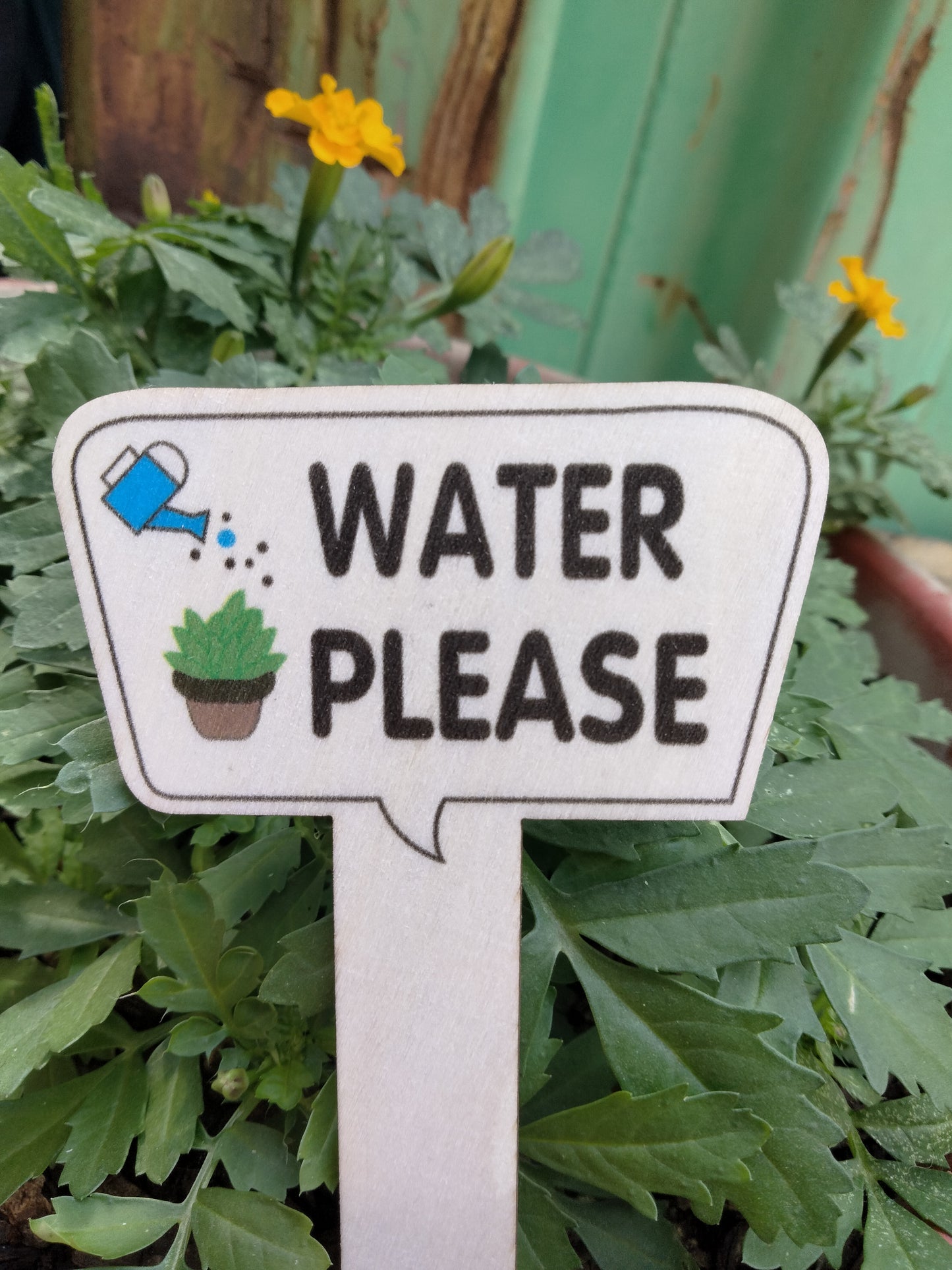 Plant Sign 5