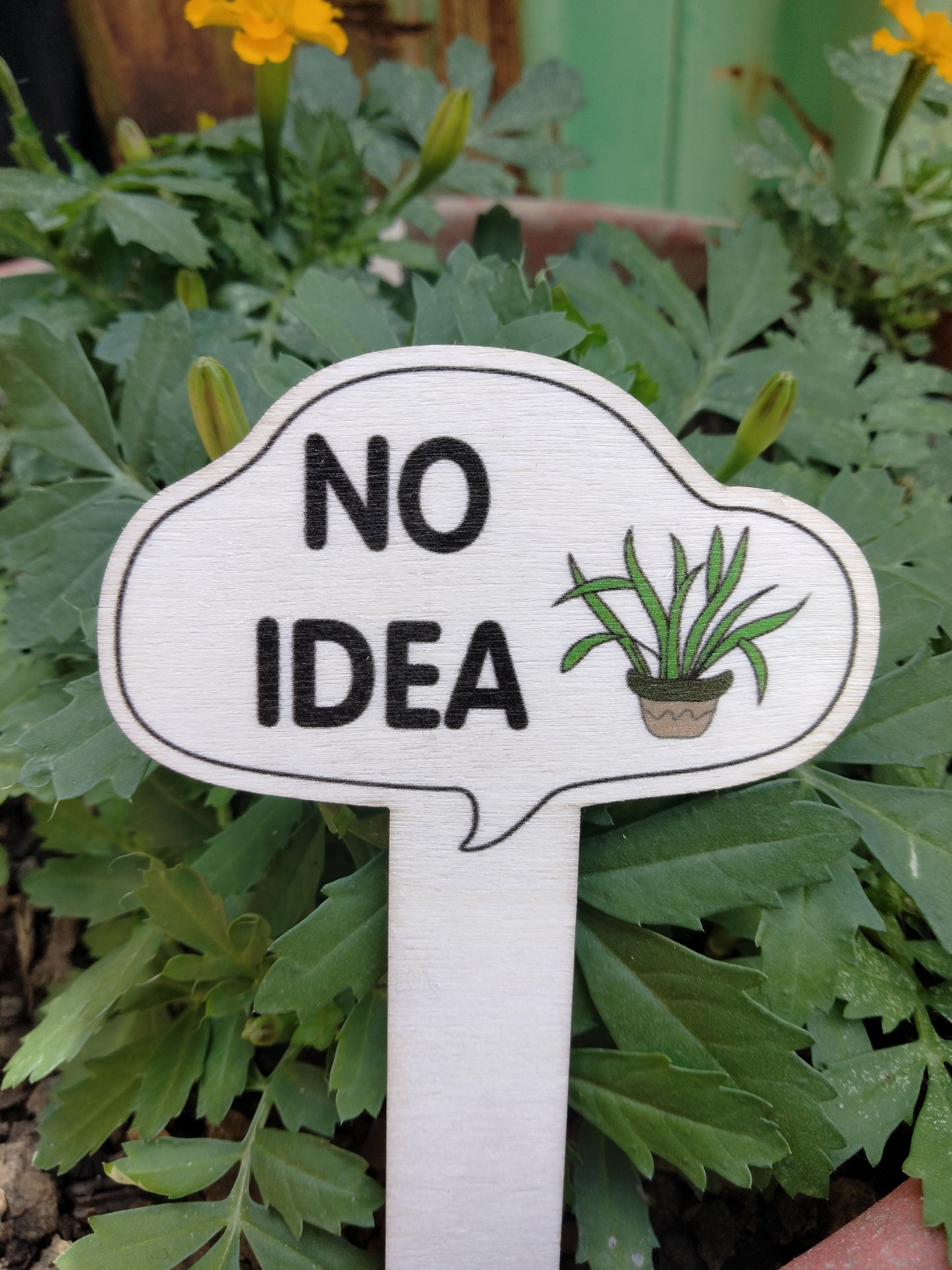 Plant Sign 10