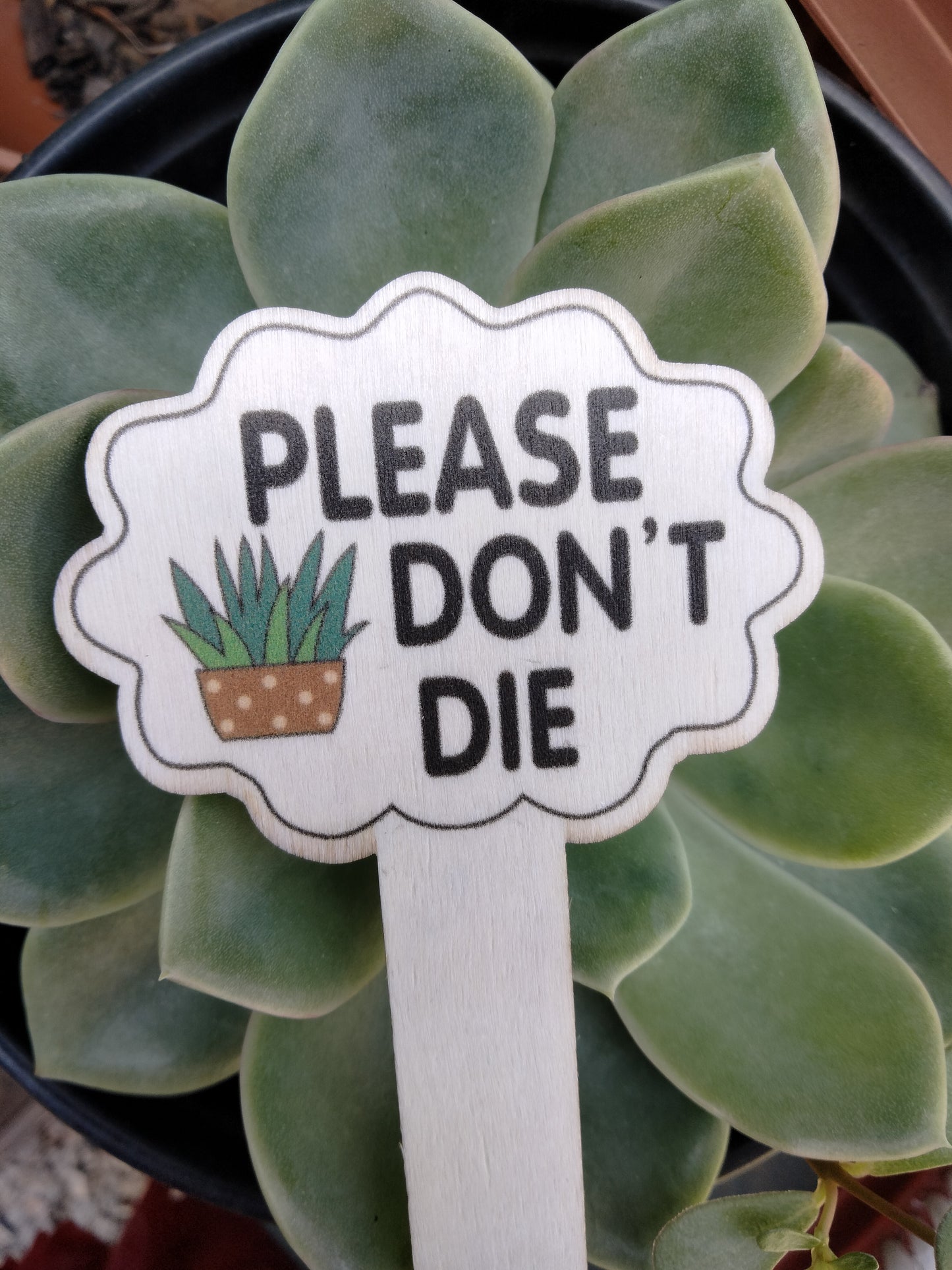 Plant Sign 11