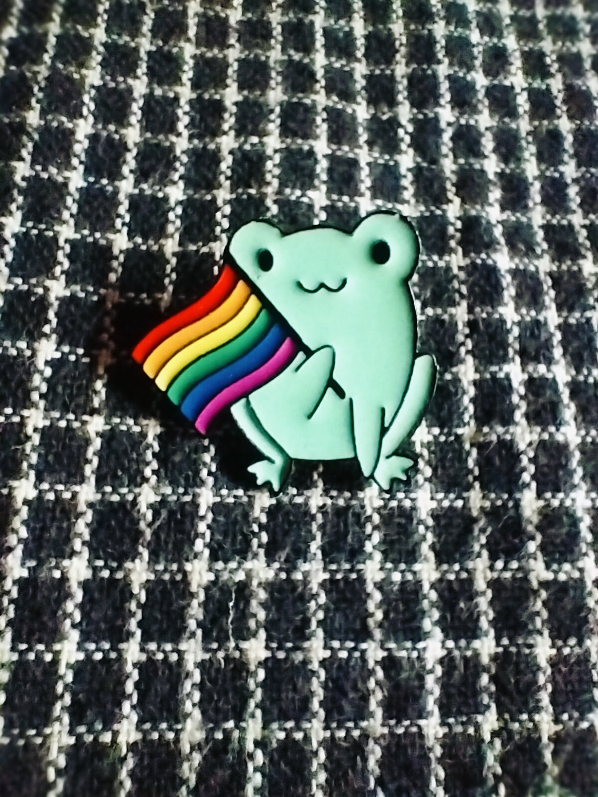 Pride Froggie 1